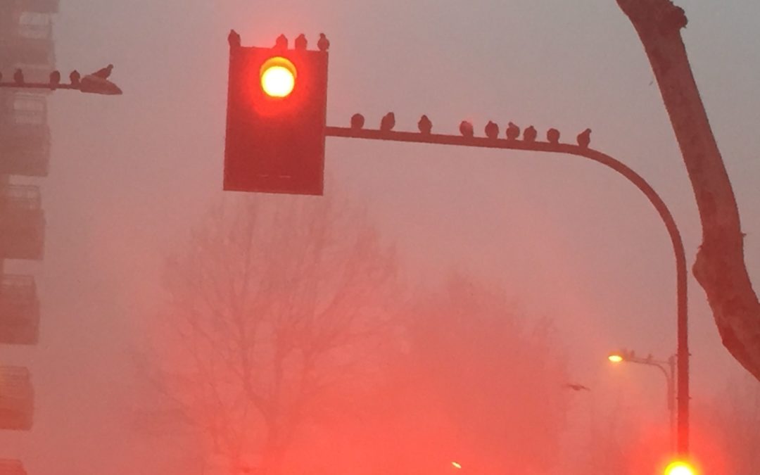 Sono una piccola cosa